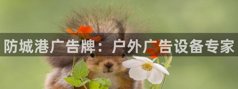 杏宇平台注册登录