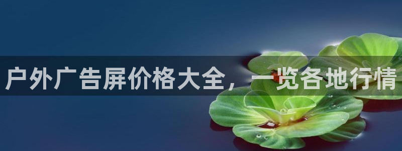杏宇平台代理怎么赚钱快