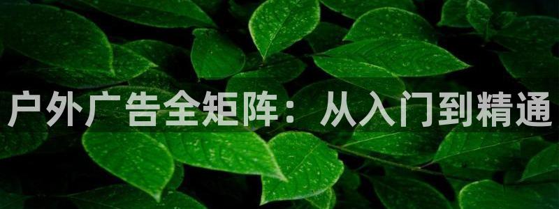 杏宇平台怎么样赚钱