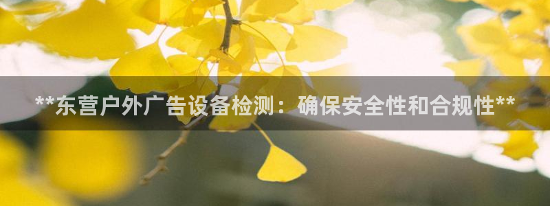 杏宇平台代理：**东营户外广告设备检测：确保安全性和合规性**