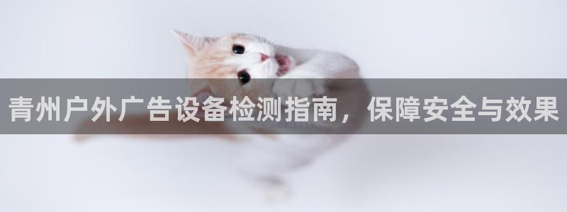 杏宇平台招商电话号码