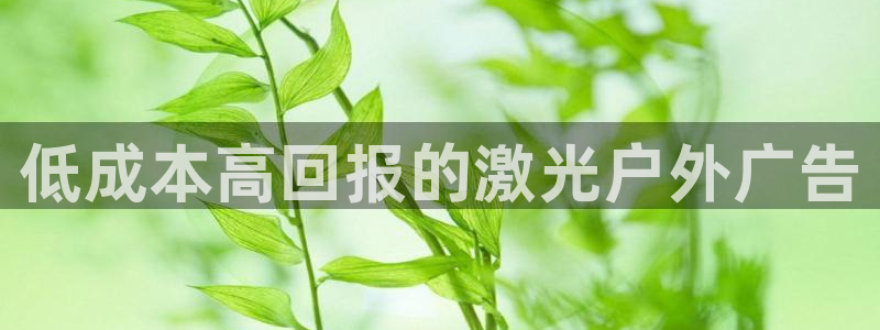 杏宇代理注册