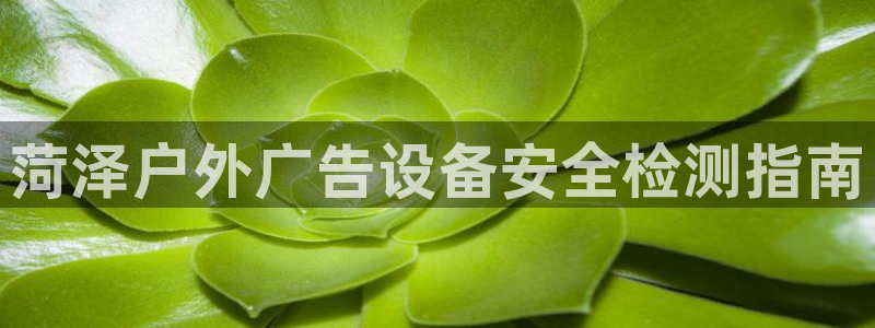 杏宇平台开户