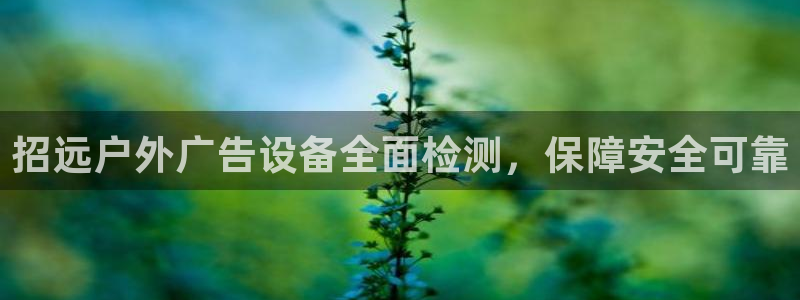 杏宇平台代理怎么样赚钱