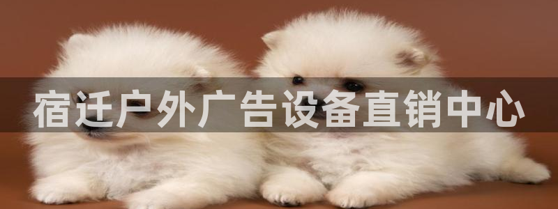 杏宇平台测速链接