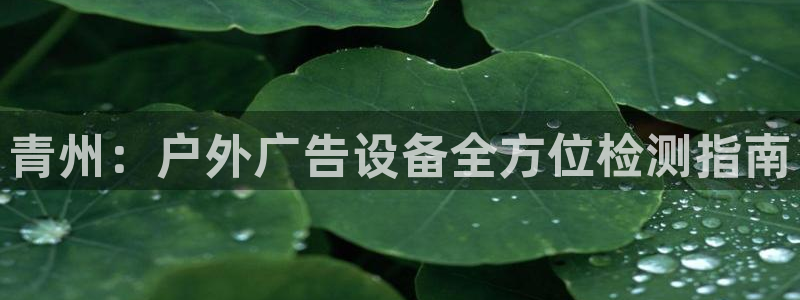 杏宇平台代理多少钱一个月