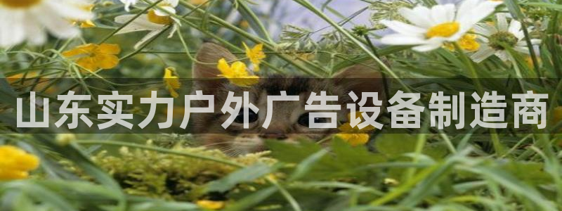 杏宇平台代理怎么样