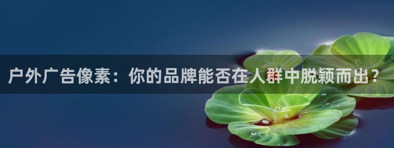 杏宇平台代理怎么样赚钱