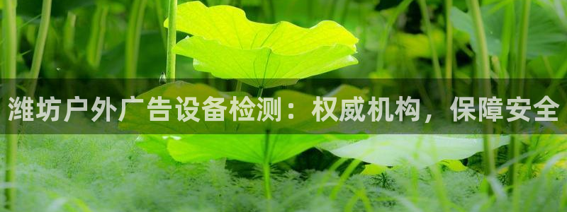 杏宇平台代理