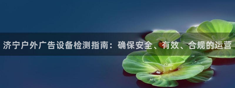 杏宇平台怎么样知乎