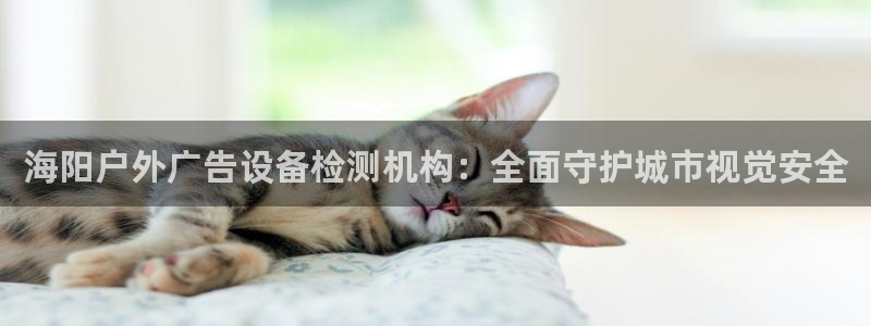 杏宇平台代理多少钱一次