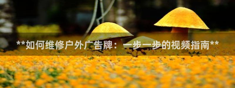 杏宇平台官网注册