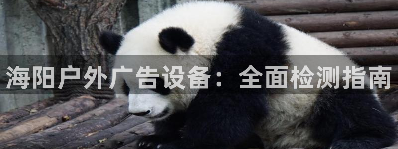 杏宇平台怎么样赚钱