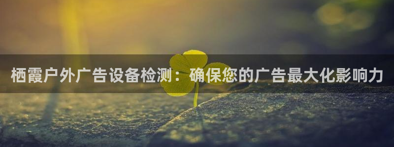 杏宇官方平台官网