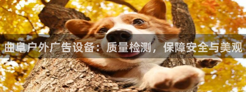 杏宇平台代理怎么样