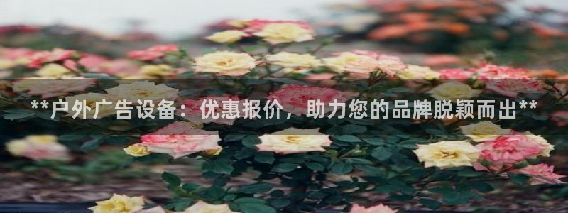杏宇平台怎么样知乎
