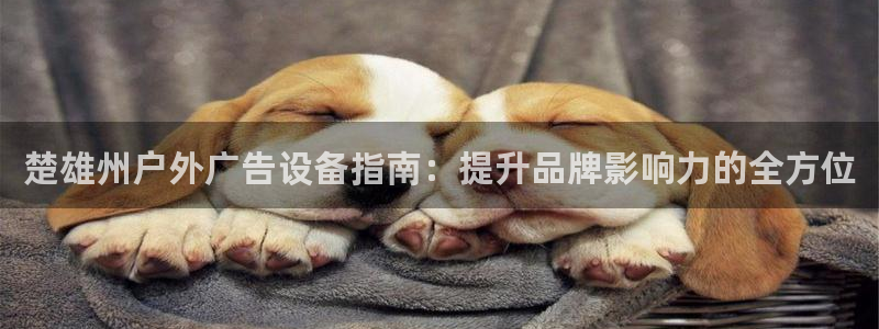 杏宇平台总代理电话