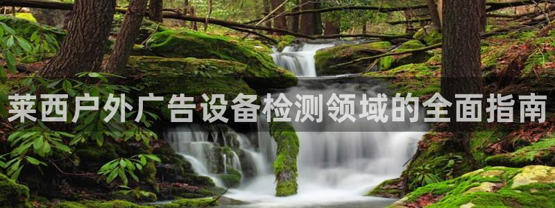 杏宇官方平台官网