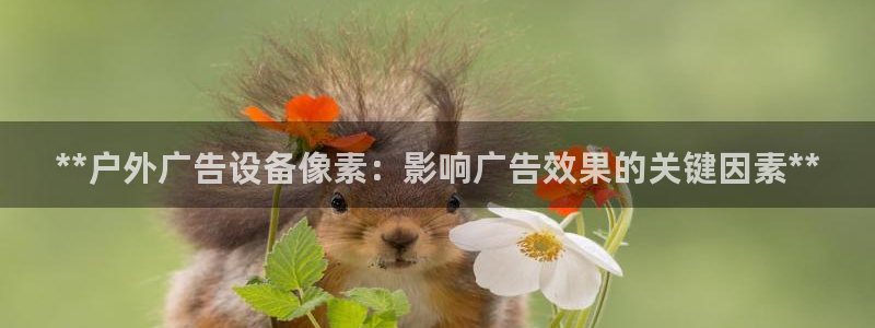 杏宇平台登录步骤是什么