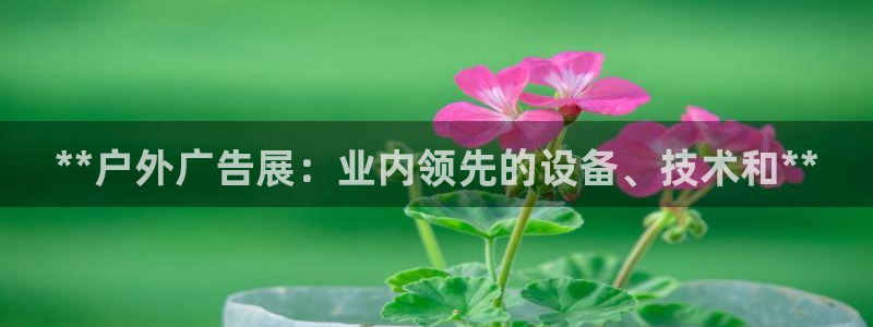 杏宇平台好吗
