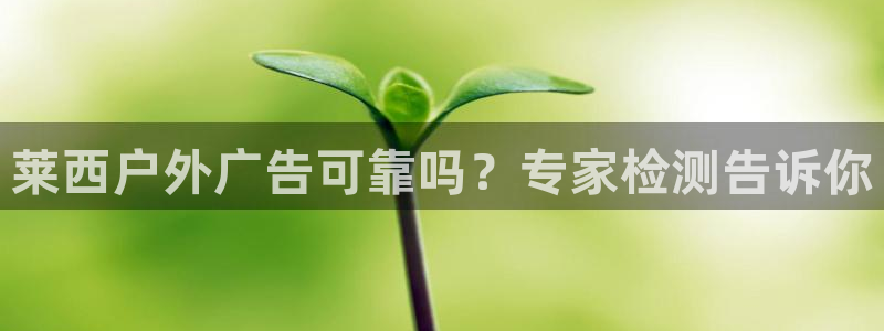 杏宇平台登录步骤图