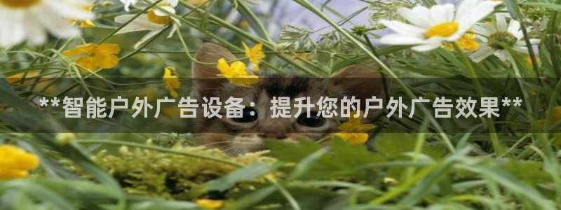 杏宇平台开户