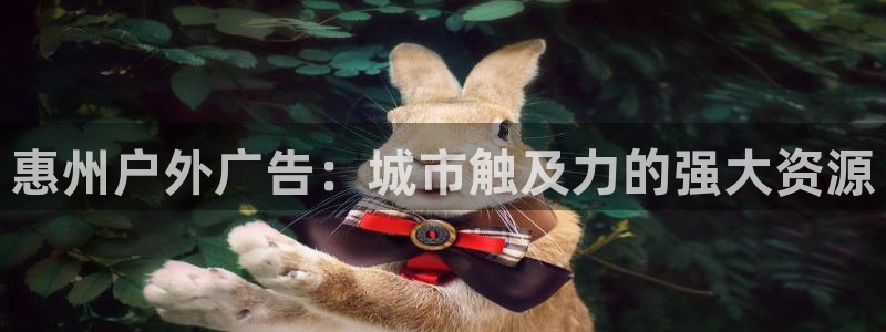 杏宇官方平台官网：惠州户外广告：城市触及力的强大资源