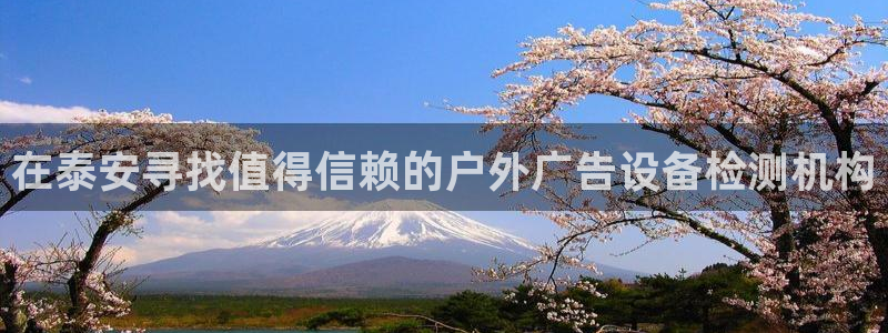 杏宇平台总代理是谁：在泰安寻找值得信赖的户外广告设备检测机构