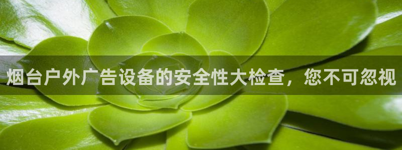 杏宇平台总代理电话
