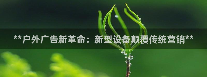 杏宇平台怎么样