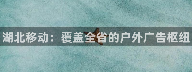 杏宇平台怎么样