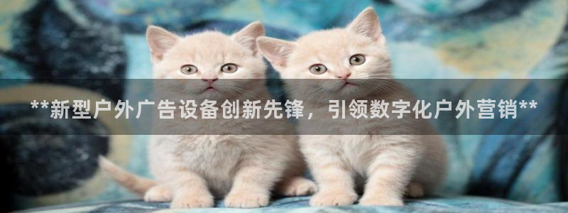 杏宇平台客服：**新型户外广告设备创新先锋，引领数字化户外营销**