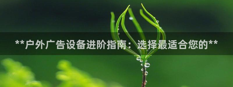 杏宇平台代理多少钱一个月：**户外广告设备进阶指南：选择最适合您的**