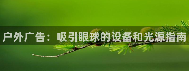 杏宇平台代理多少钱一次