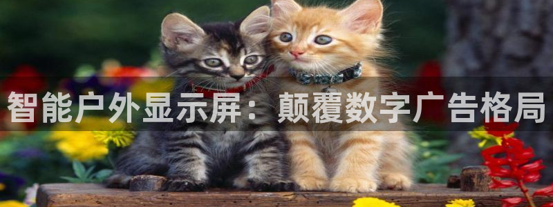 杏宇平台提现为什么这么久呢