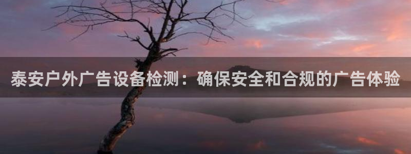 杏宇平台登录步骤图：泰安户外广告设备检测：确保安全和合规的广告体验