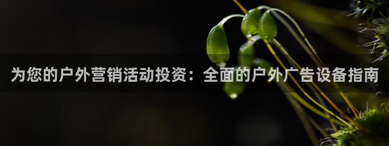 杏宇平台招商