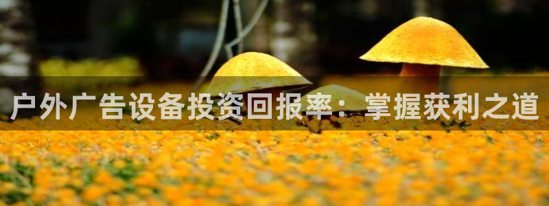 杏宇平台总代理是谁：户外广告设备投资回报率：掌握获利之道