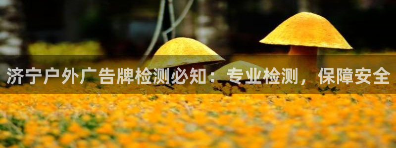 杏宇平台总代理是谁