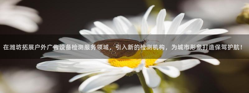 杏宇平台代理多少钱一个：在潍坊拓展户外广告设备检测服务领域，引入新的检测机构，为城市形象打造保驾护航！