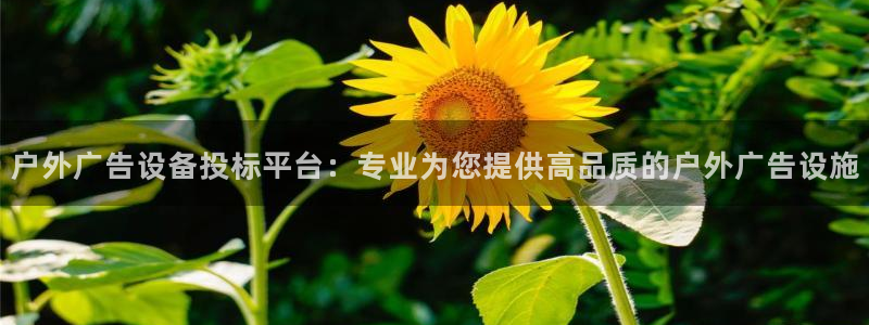 杏宇官方平台官网：户外广告设备投标平台：
