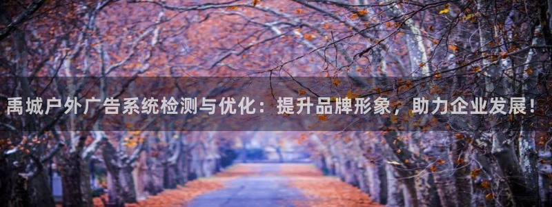 杏宇平台招商：禹城户外广告系统检测与优化：提升品牌形象，助力企业发展！