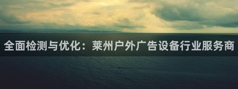 杏宇平台代理怎么赚钱：全面检测与优化：莱