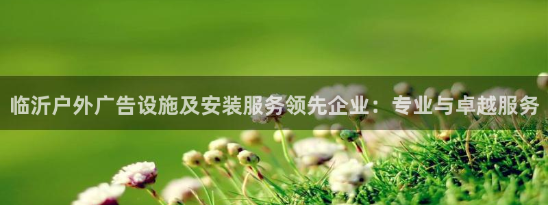 杏宇平台代理多少钱一次：临沂户外广告设施