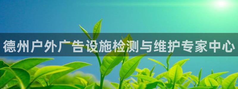 杏宇平台测速链接：德州户外广告设施检测与