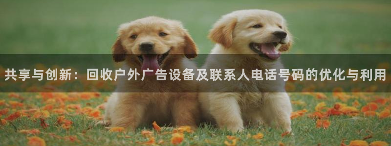 杏宇平台总代理：共享与创新：回收户外广告设备及联系人电话号码的优化与利用