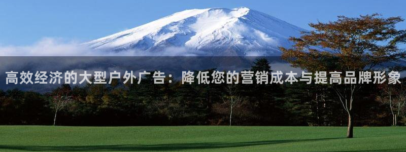 杏宇平台总代理电话：高效经济的大型户外广