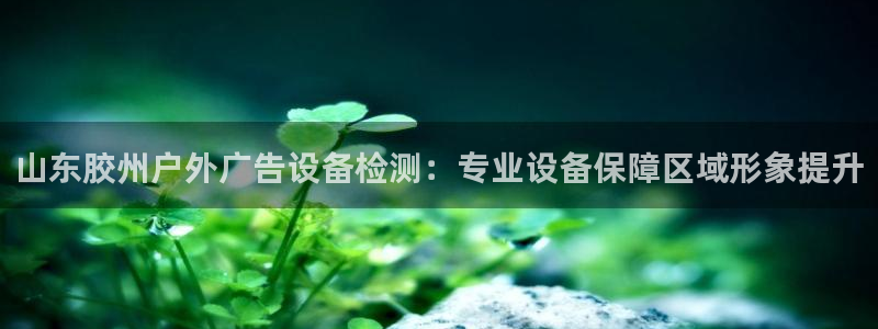 杏宇官方平台官网下载：山东胶州户外广告设备检测：专业设备保障区域形象提升