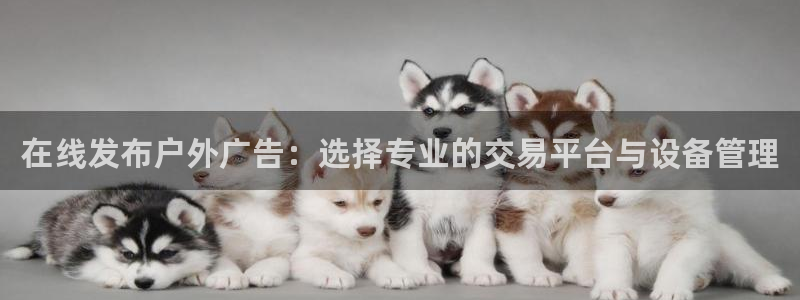 杏宇平台代理多少钱一个月：在线发布户外广告：选择专业的交易平台与设备管理