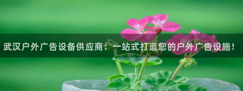 杏宇官方平台官网入口